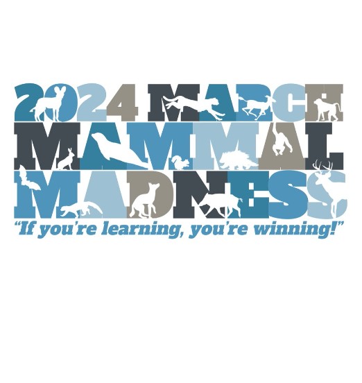 March Mammal Madness at Palisades
