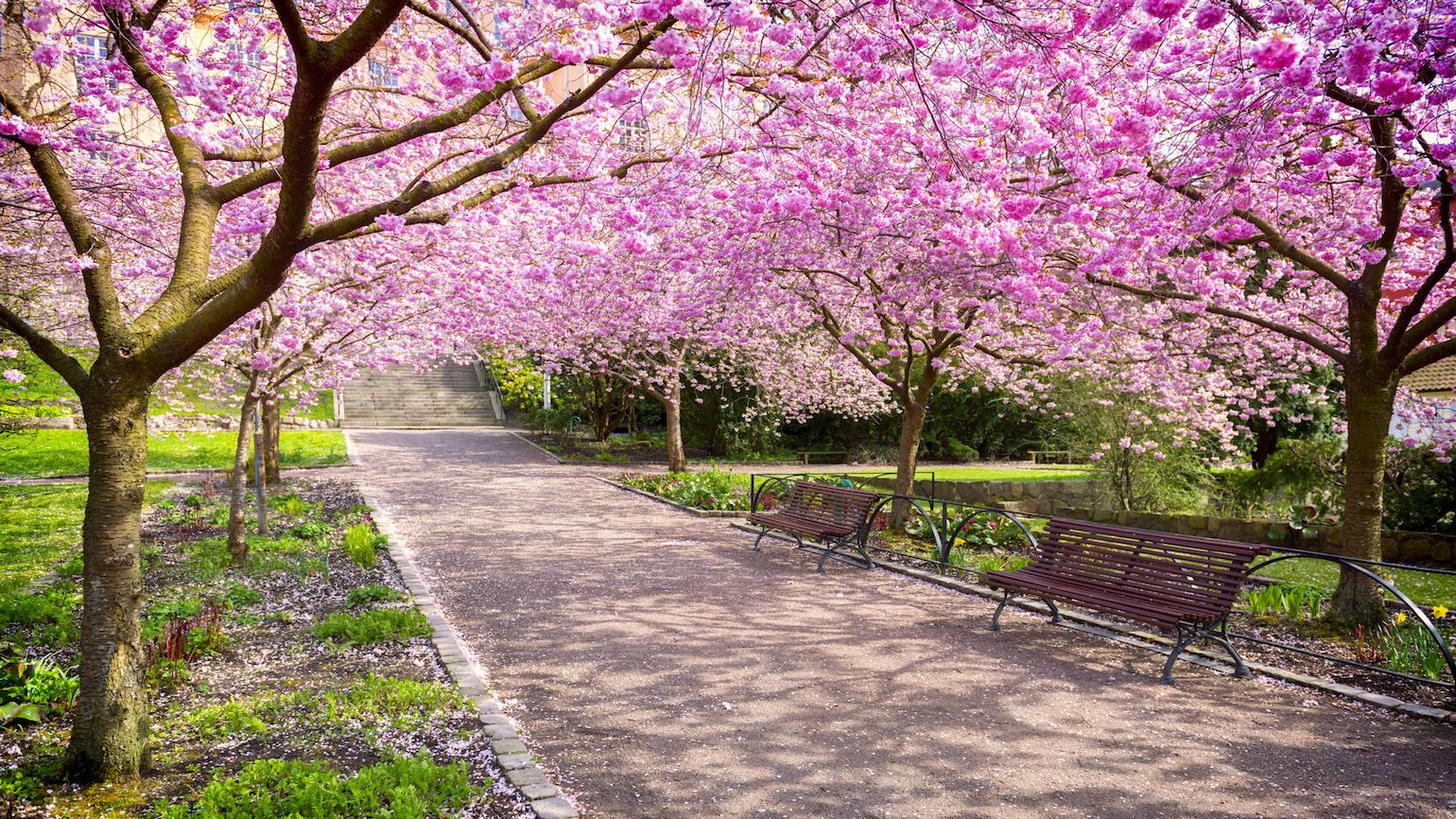 The Good, the Bad, and the Ugly of Spring