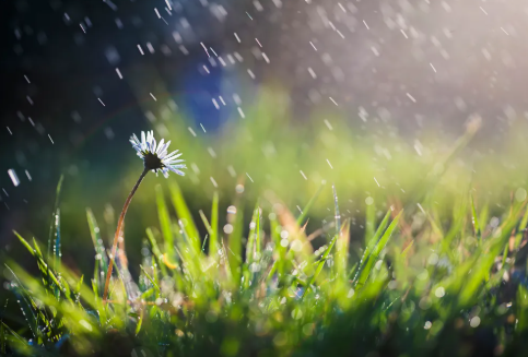 6 Things To Do When Spring Goes Soggy