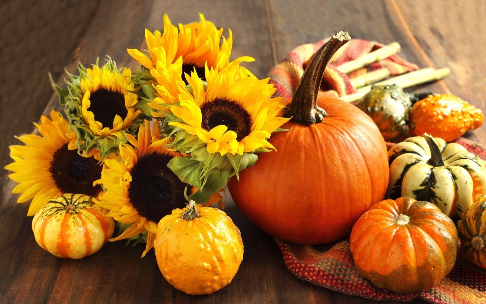Upcoming Fall Events in Bucks County