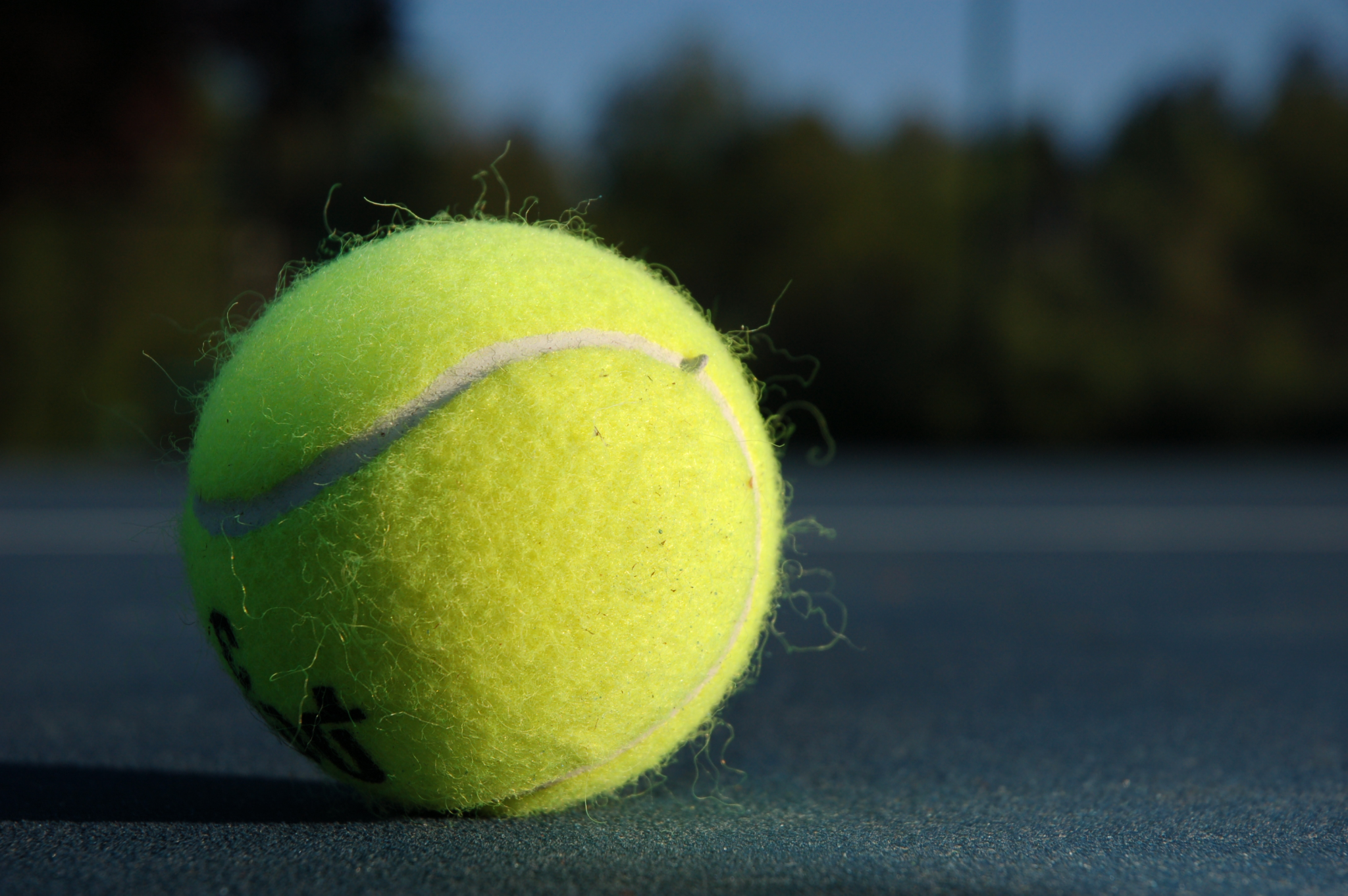 Palisades Tennis: The Ball is on Our Court; How do We Hit Back?